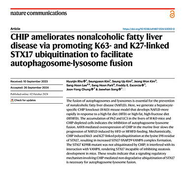송재환 교수 연구팀, CHIP이 비알콜성 지방간을 개선하는 신호 전달 기전 규명